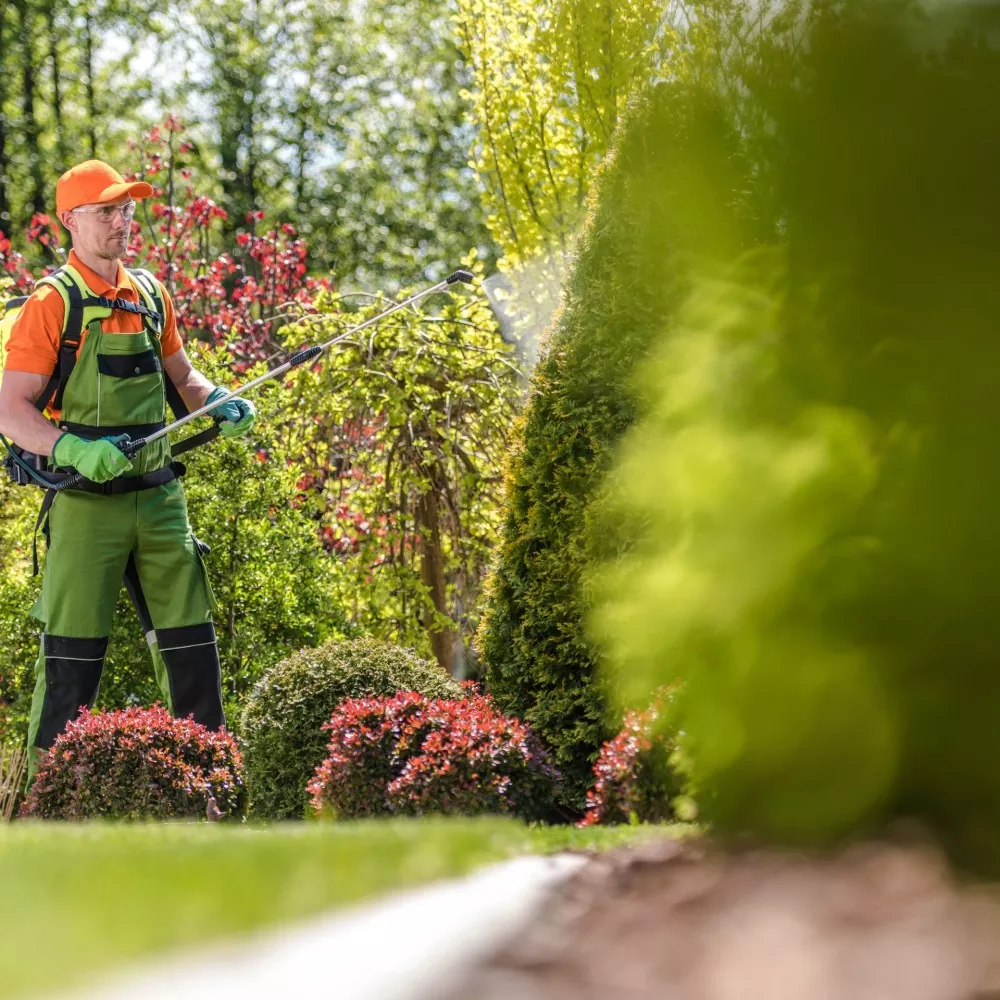 Professionelle Gartenarbeit
