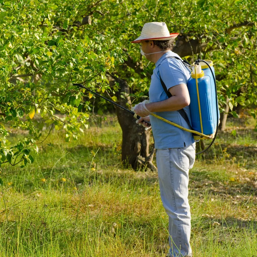 Städtische Obstgärten
